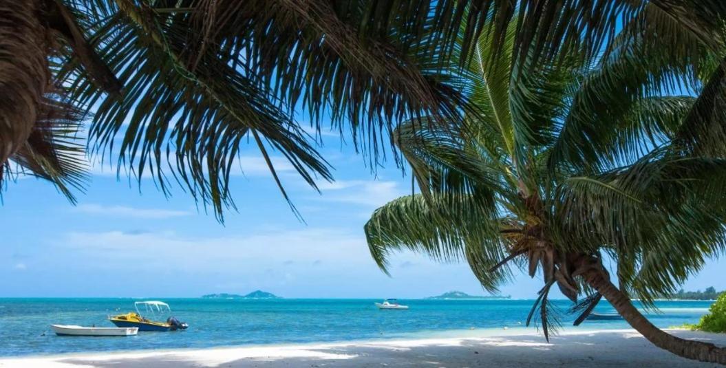 Happy Stay Villa Grand' Anse Buitenkant foto