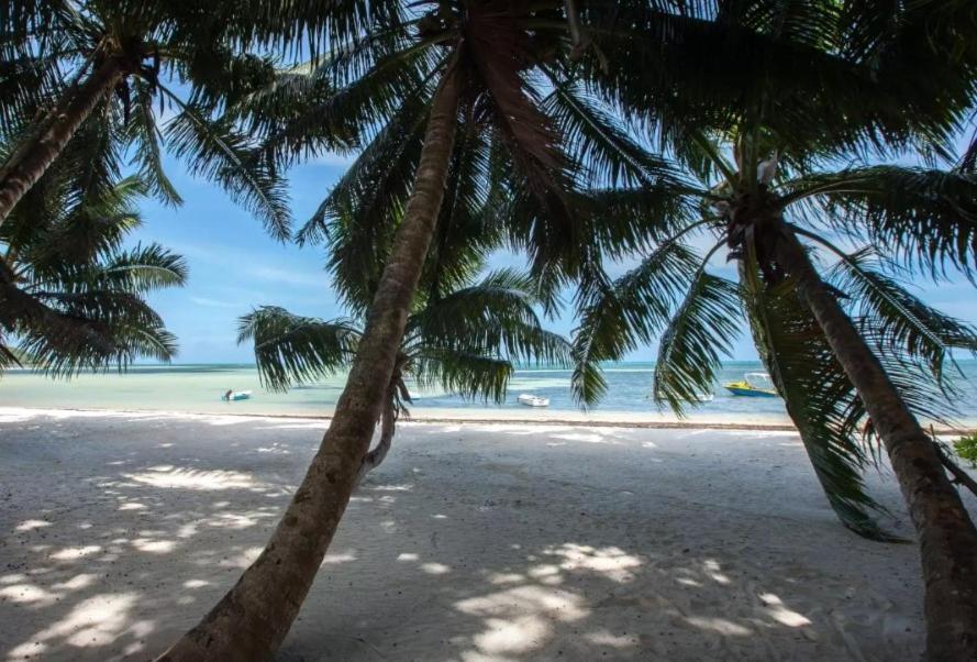 Happy Stay Villa Grand' Anse Buitenkant foto